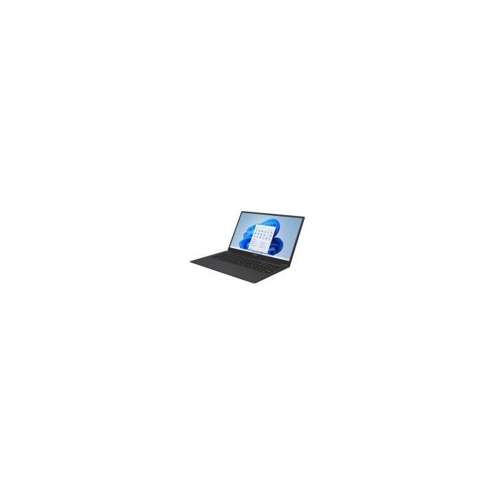 Portable Thomson 17.3